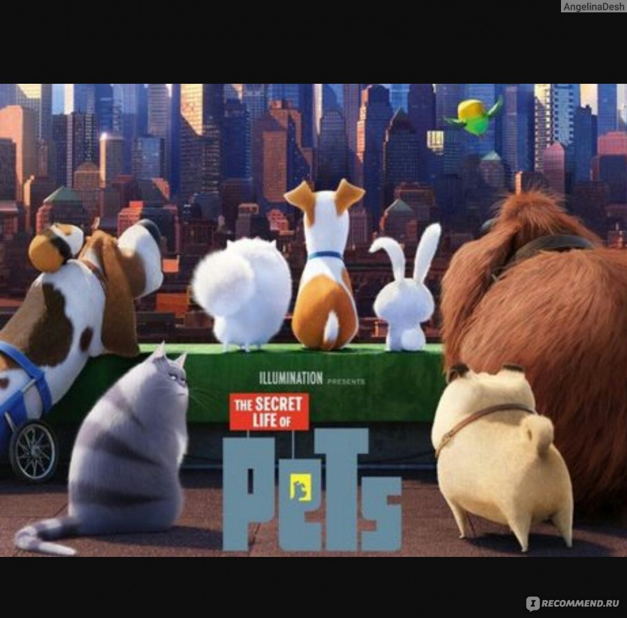 Тайная жизнь домашних животных / The secret life of pets - «Веселая и  душевная история для всей семьи» | отзывы