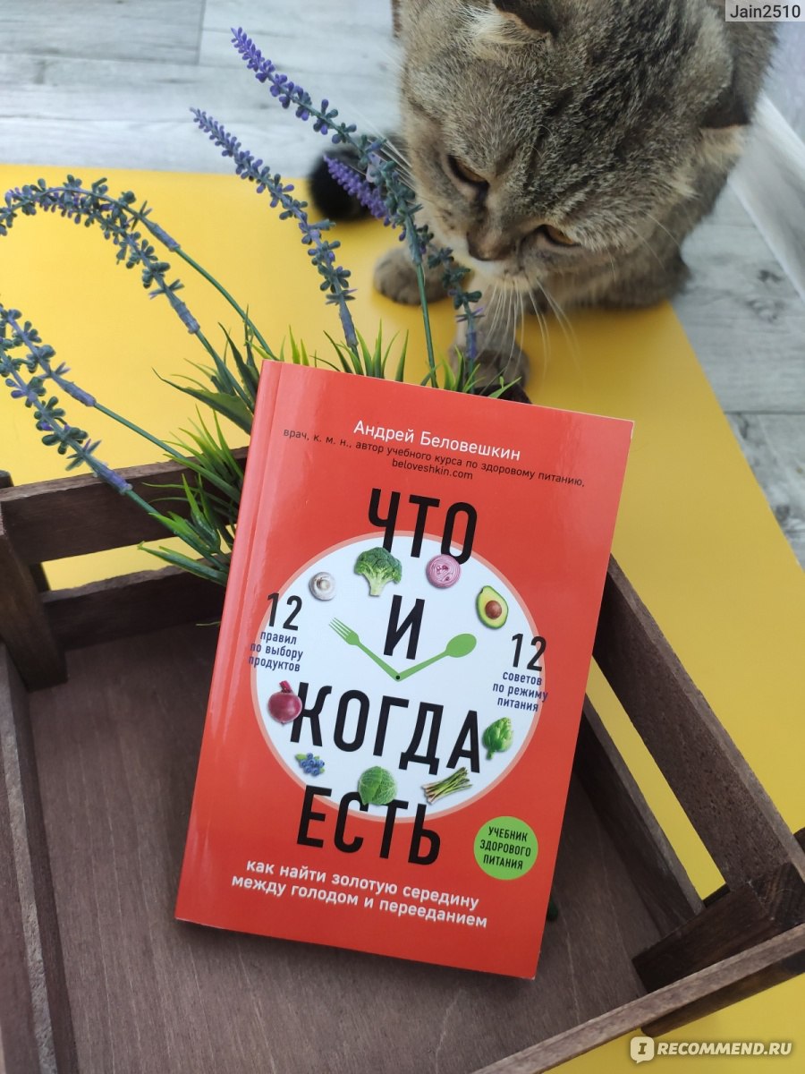 Беловешкин что и когда есть электронная книга