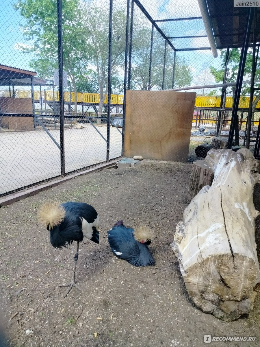 минский зоопарк