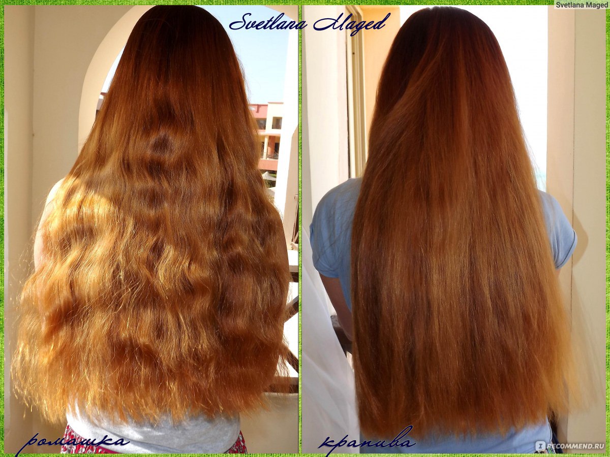 Осветление волос корицей фото до и после фото