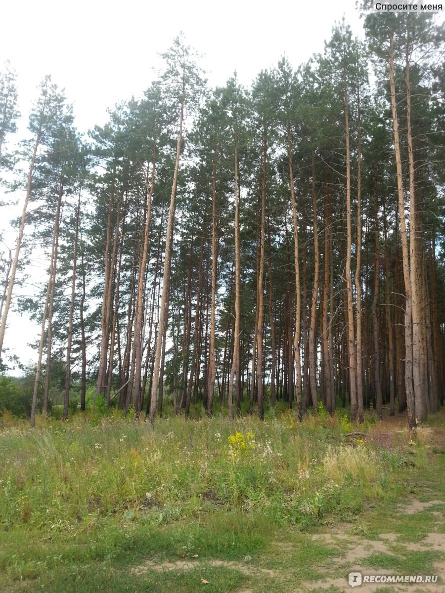 База отдыха "Усадьба "Сказка" , Г. Балаково (Саратовская область) фото