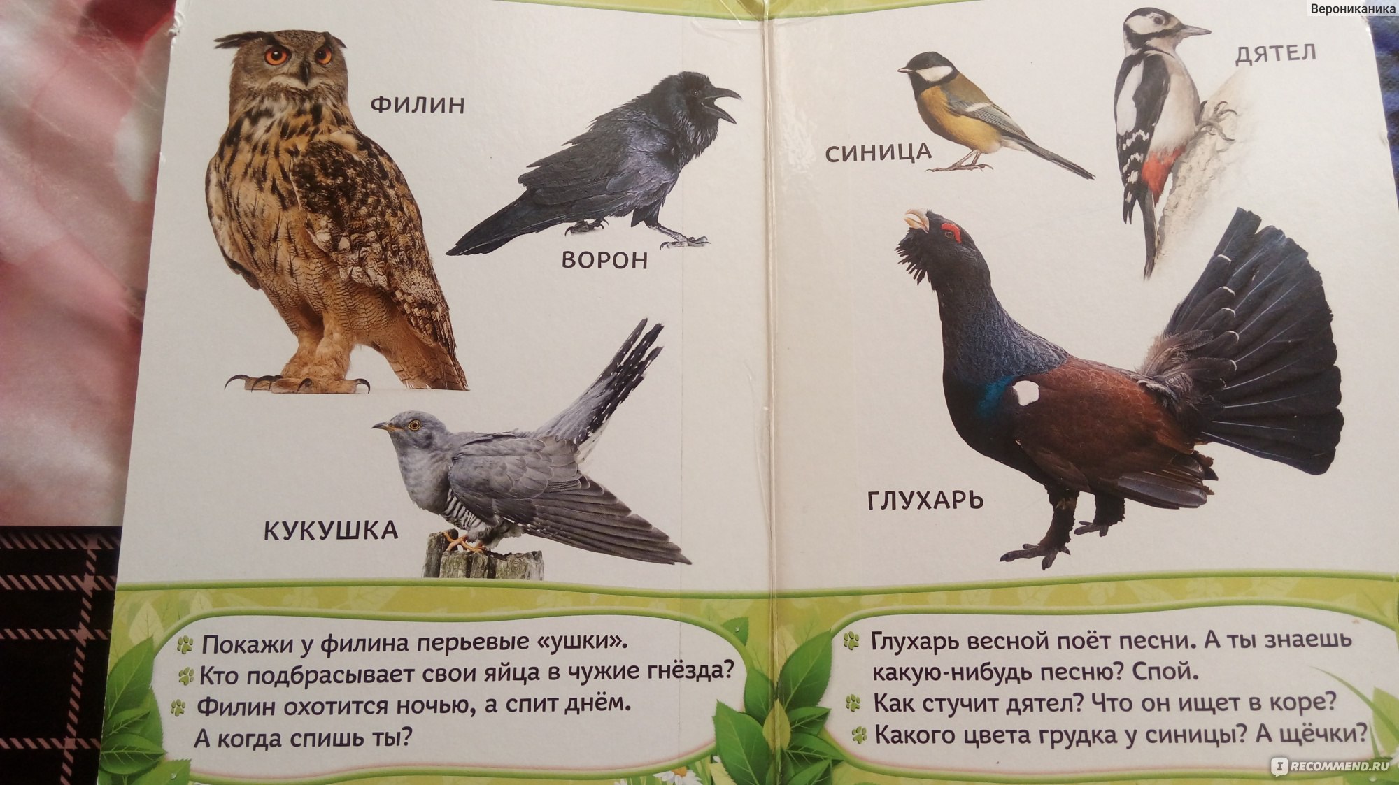 Всё-всё-всё для малышей. Издательство Росмэн - «Всё - всё - всё для  малышей. Много фото» | отзывы