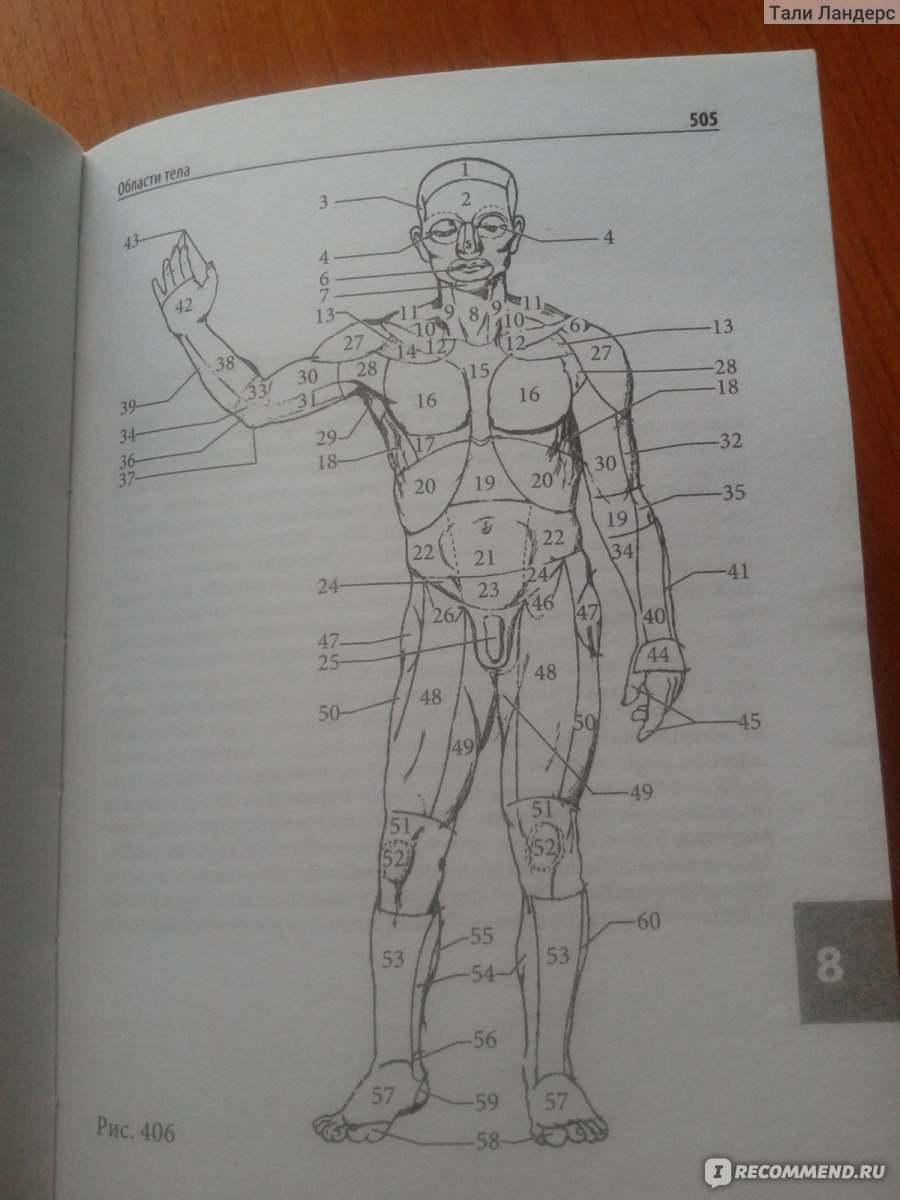 Анатомия человека компактный атлас-раскраска
