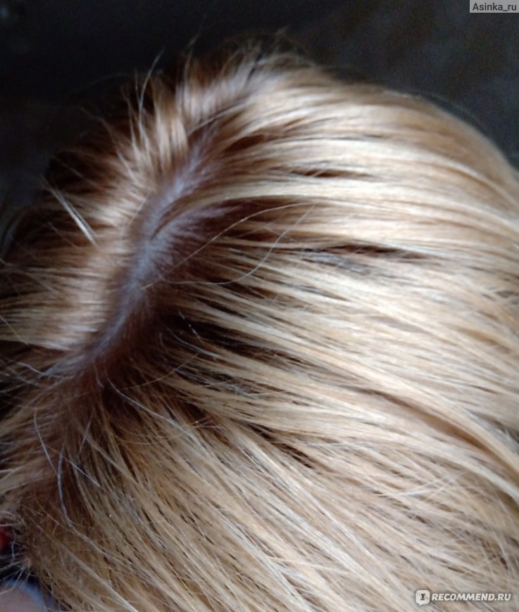 Syoss краска для волос oleo intense 10-50 дымчатый блонд