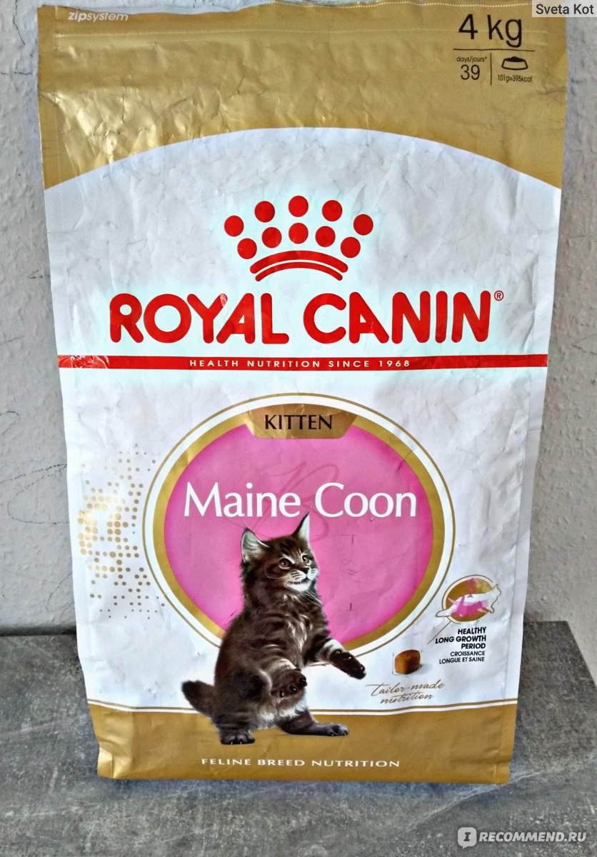 Royal Canin Maine Coon Kitten/Роял Канин для котят Мейн куна - «?Royal  Canin Kitten Maine Coon - большие крокеты специально для больших мейн-кунов.  Сравнение с обычным кормом для котят?» | отзывы