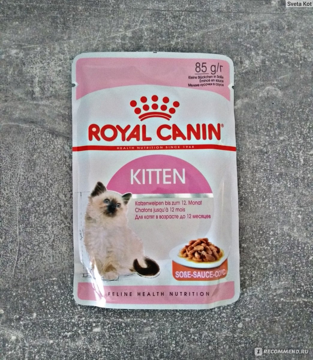 Роял канин какой лучше для кошек. Роял Канин для кошек и котят. Крокеты Роял Канин. Реклама Роял Канин Киттен. Корм кошки Британская короткошерстная 0,4 кг (Роял Канин).