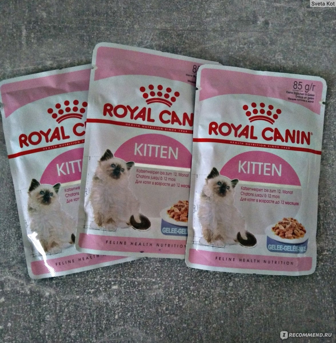 Корм для кошек Royal Canin Пауч для котят Kitten кусочки в желе фото