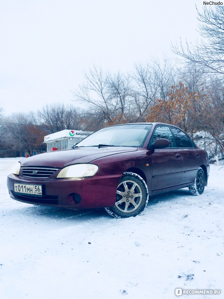 Kia Spectra - 2007 - «Kia Spectra - надежный бюджетный седан. Правда очень  низкий. Не оправданно низкий.» | отзывы