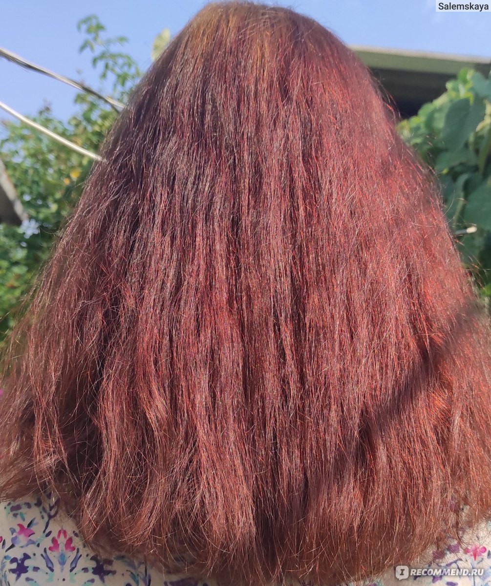 Настойка перечной мяты для роста волос фото до и после