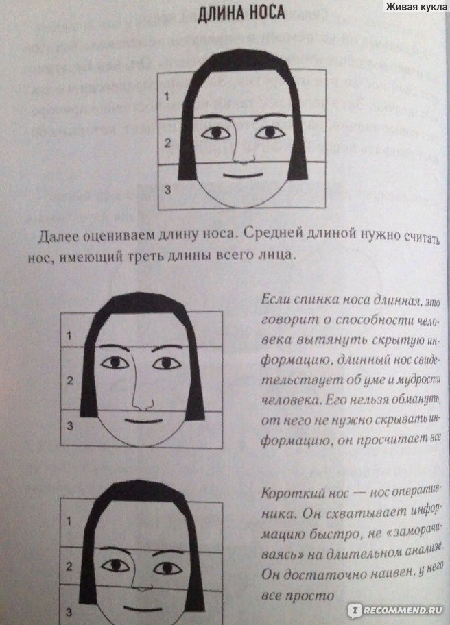 Физиогномика лица тест по фото