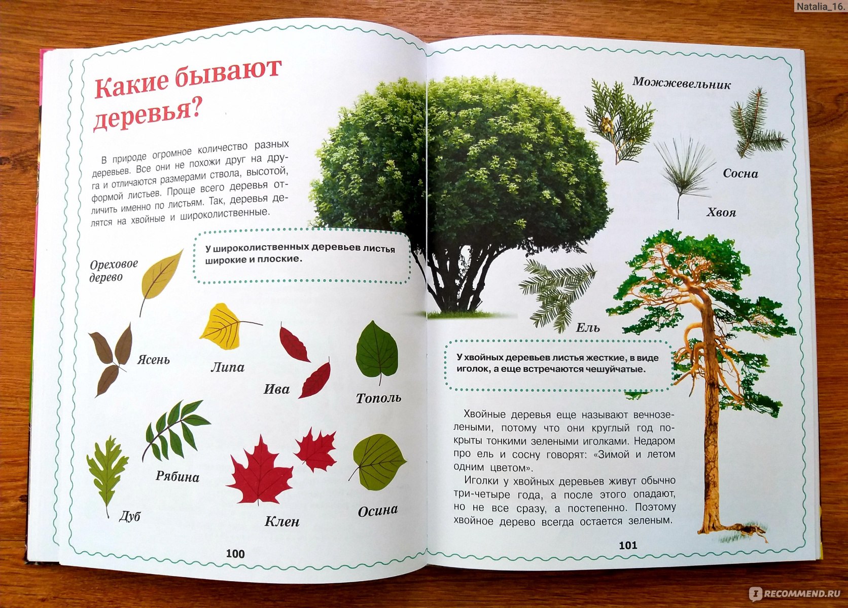 Энциклопедия для детей 5 6 лет читать онлайн с картинками