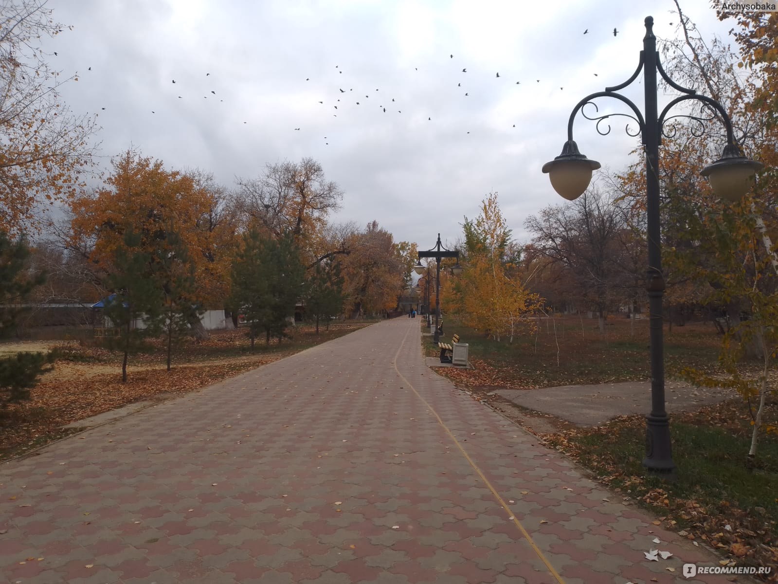 Парк культуры и отдыха им. С.М. Кирова , Уральск - «Прогулка в городском  парке Уральска. Настроение - осень🍂 » | отзывы