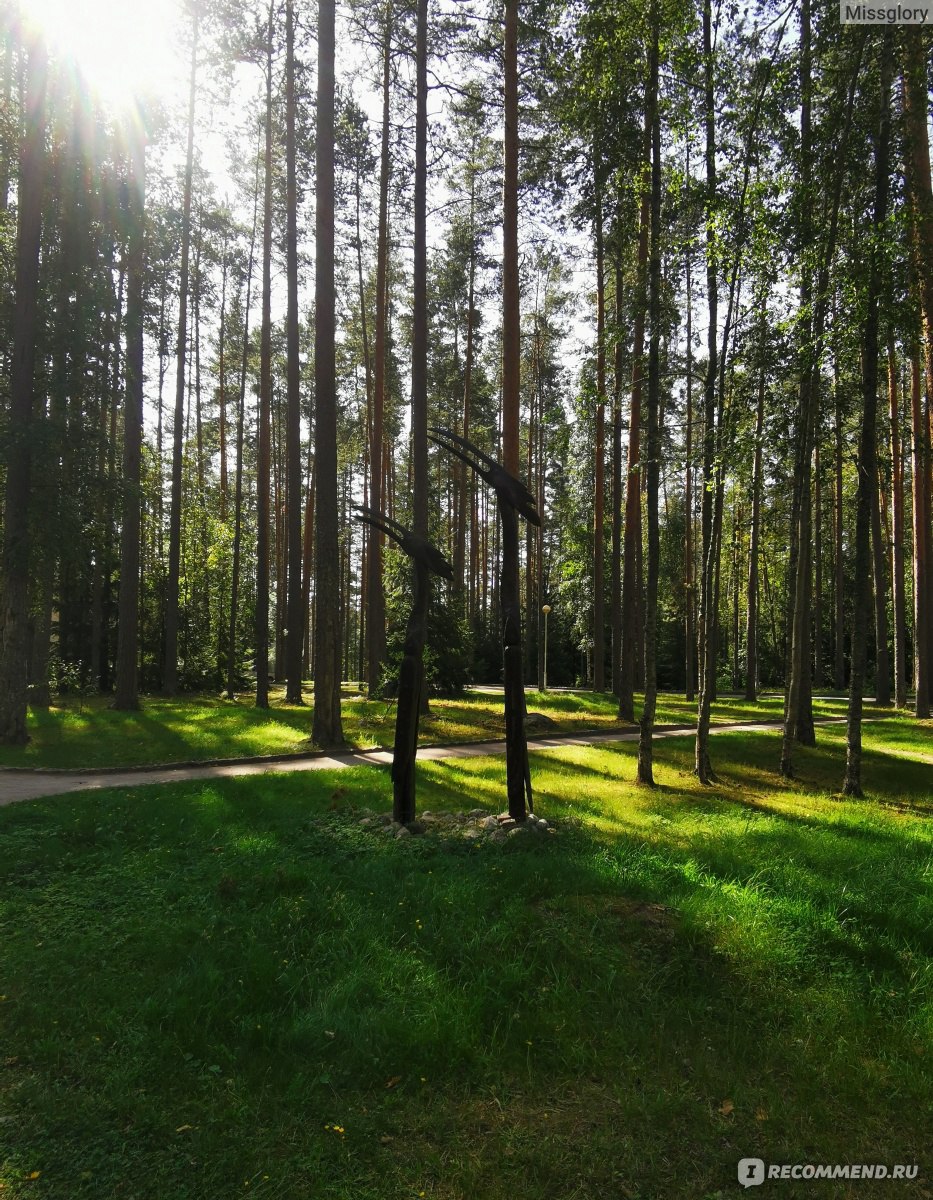 Загородный отель Raivola, Россия, Ленинградская область, Выборгский район,  пос. Рощино - «Отель и база отдыха, которая функционирует ещё и как Spa с  открытым бассейном.» | отзывы