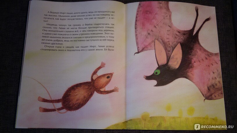 Друзей крыльев без что. Картинки книга с крыльями для детей. Книга как Крылья. Книга с одним крылом на обложке.