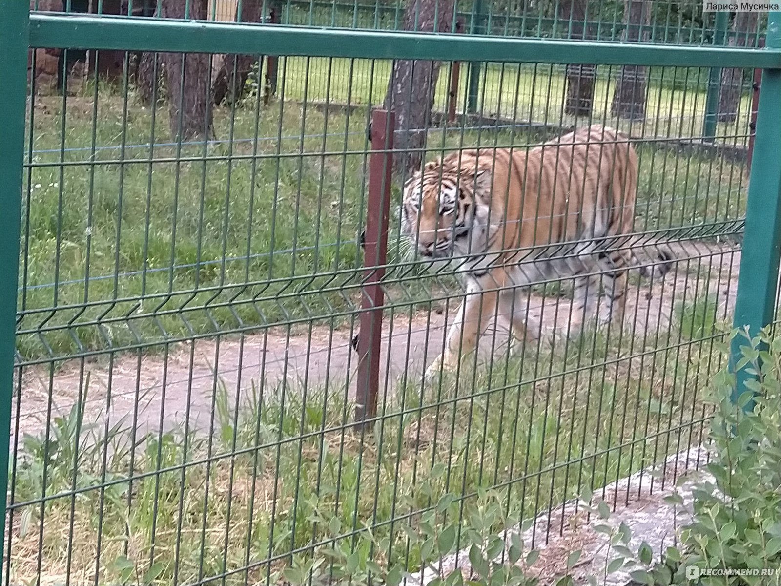 Зоопарк в белгороде официальный сайт