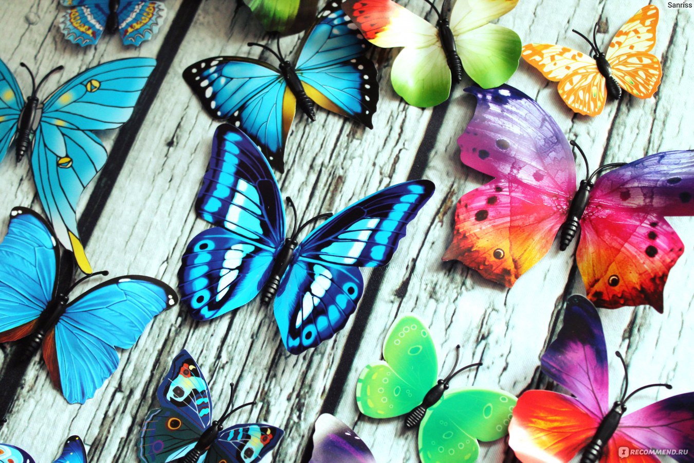 Бабочки на магнитах Butterfly Sticker 3D Art Design - «У меня дома  нашествие БАБОЧЕК! Экзотических, необычных, больших и маленьких. НЕРЕАЛЬНО  КРАСИВЫХ. Какие же они волшебные. =^.^= Больше 50 штук. Целая коллекция  бесподобной красоты))» | отзывы