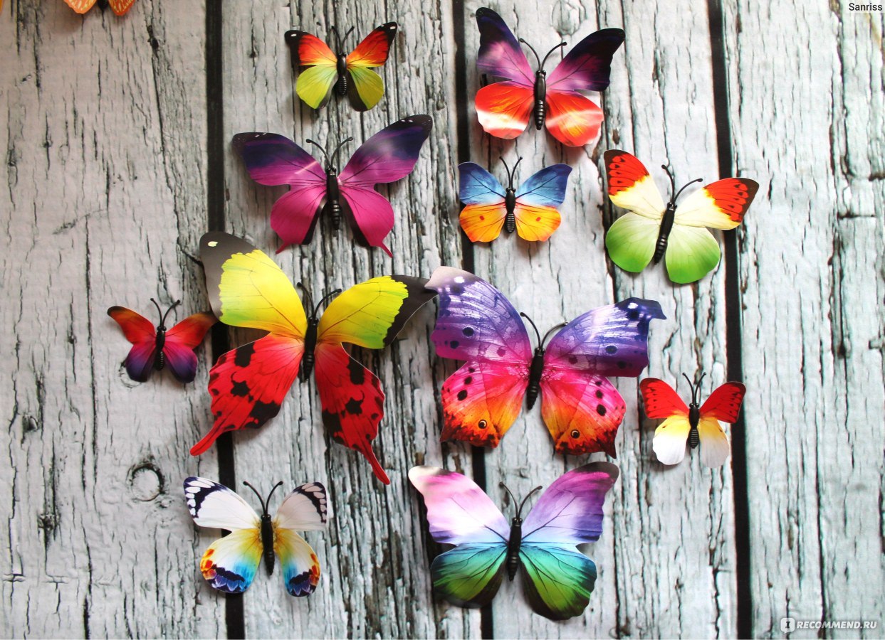 Бабочки на магнитах Butterfly Sticker 3D Art Design - «У меня дома  нашествие БАБОЧЕК! Экзотических, необычных, больших и маленьких. НЕРЕАЛЬНО  КРАСИВЫХ. Какие же они волшебные. =^.^= Больше 50 штук. Целая коллекция  бесподобной красоты))» | отзывы