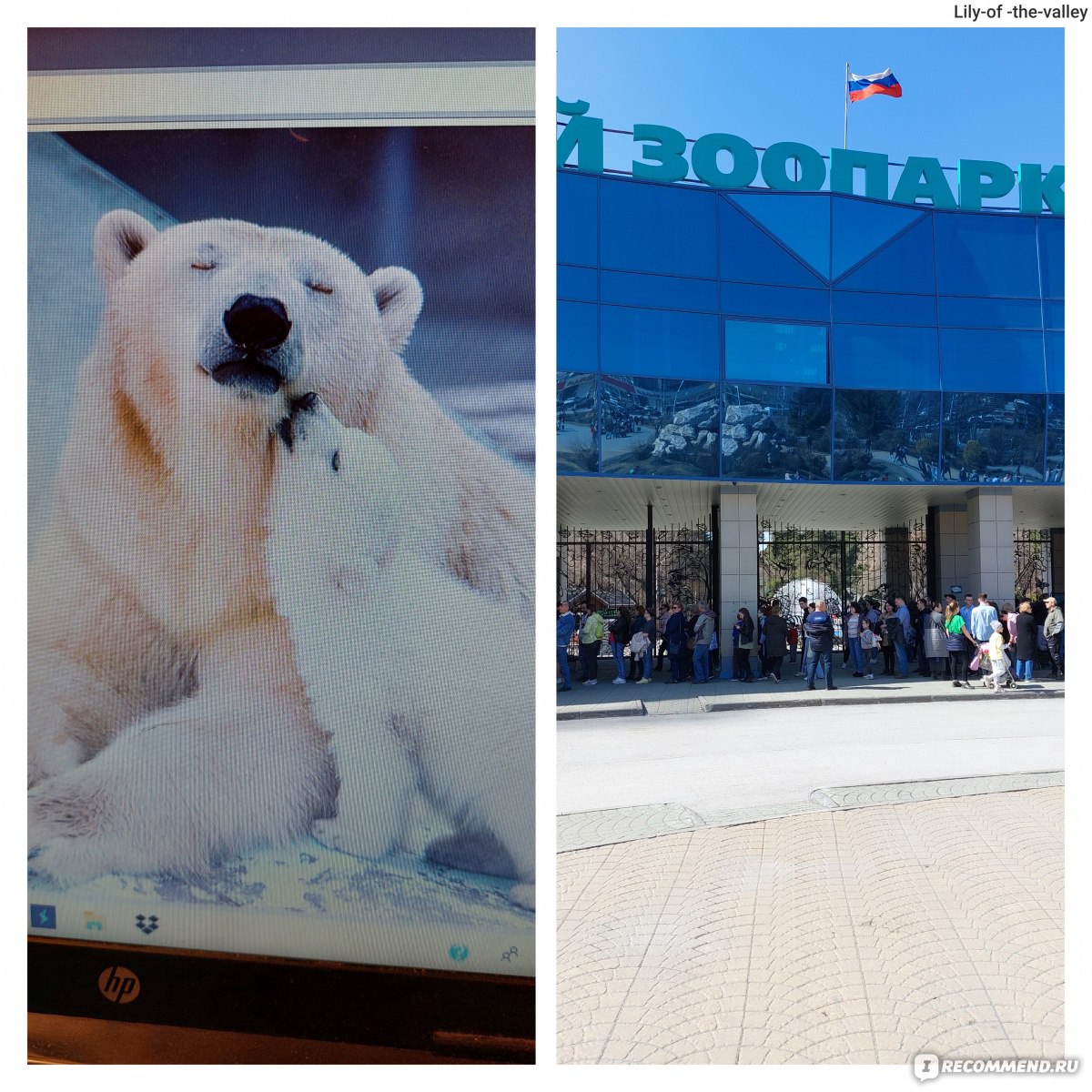 Новосибирский зоопарк, Новосибирск - «Максимальное приближение к природе» |  отзывы