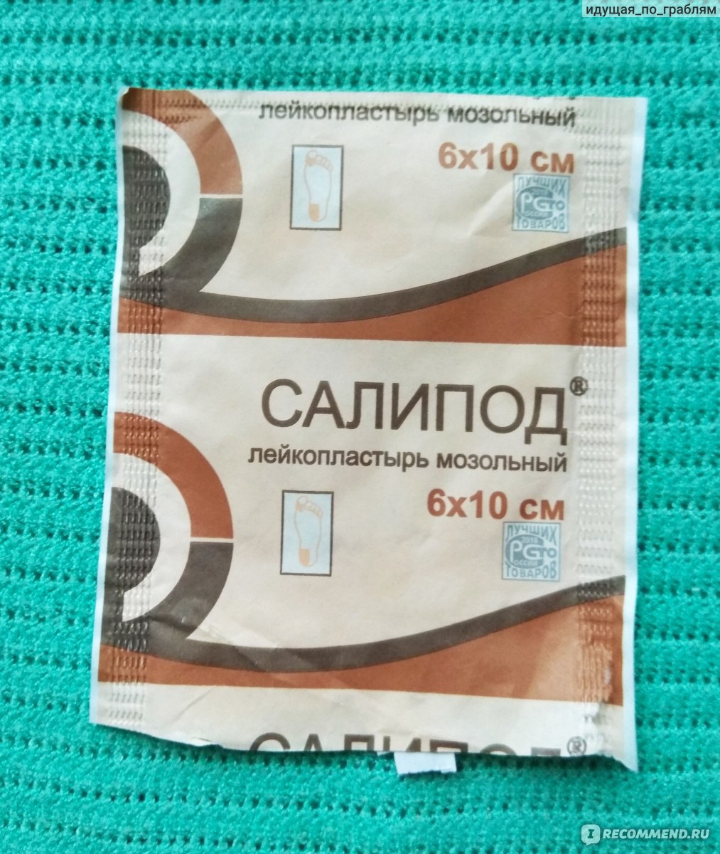 Салипод