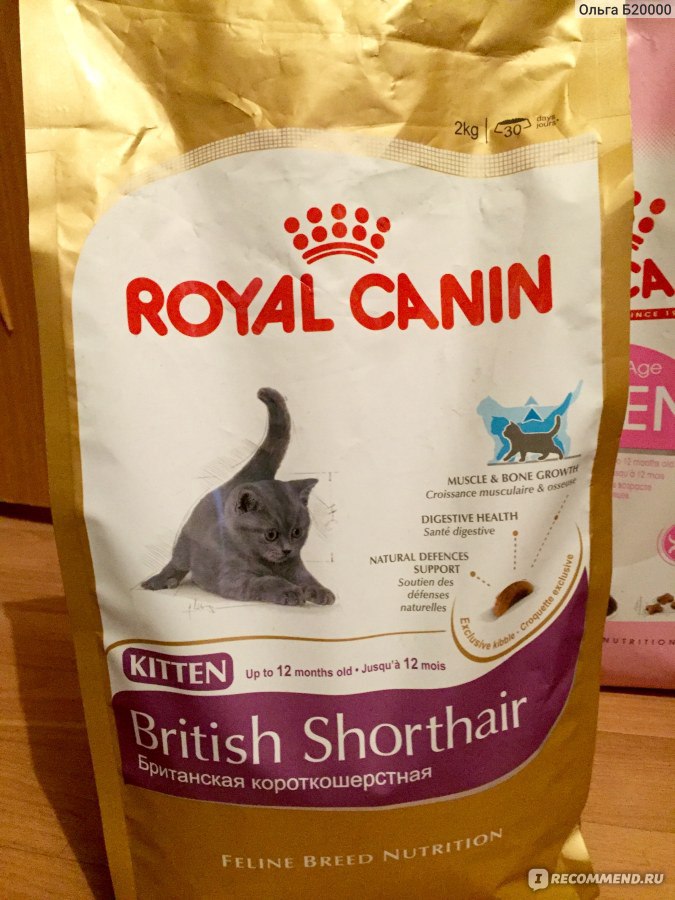 Royal canin british. Роял Канин Бритиш Киттен Шортхэйр. Роял Канин Бритиш шерсть. Royal Canin British Shorthair Kitten. Роял Канин Бритиш 13 кг.