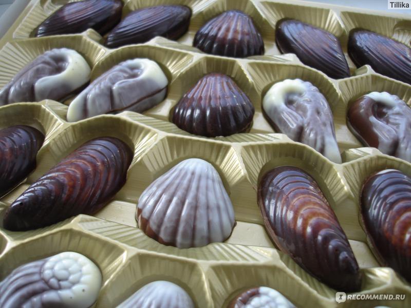 Конфеты Belgian Seashells морские ракушки