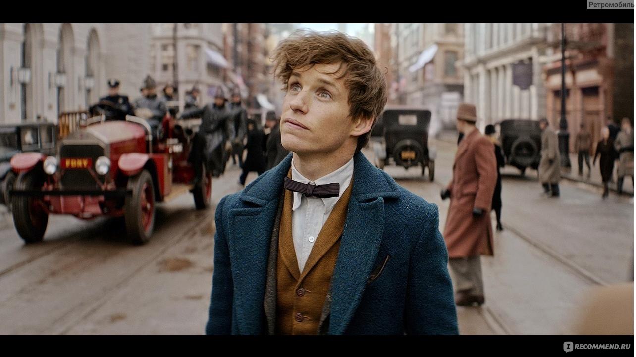 Фантастические твари и где они обитают / Fantastic Beasts and Where to Find  Them (2016, фильм) - «Magic Englishman in New York» | отзывы