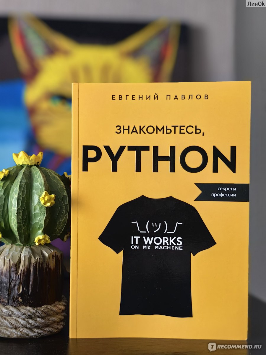 Знакомьтесь, PYTHON. Секреты профессии. Евгений Павлов - «💻Если тянет к  сфере IT. 