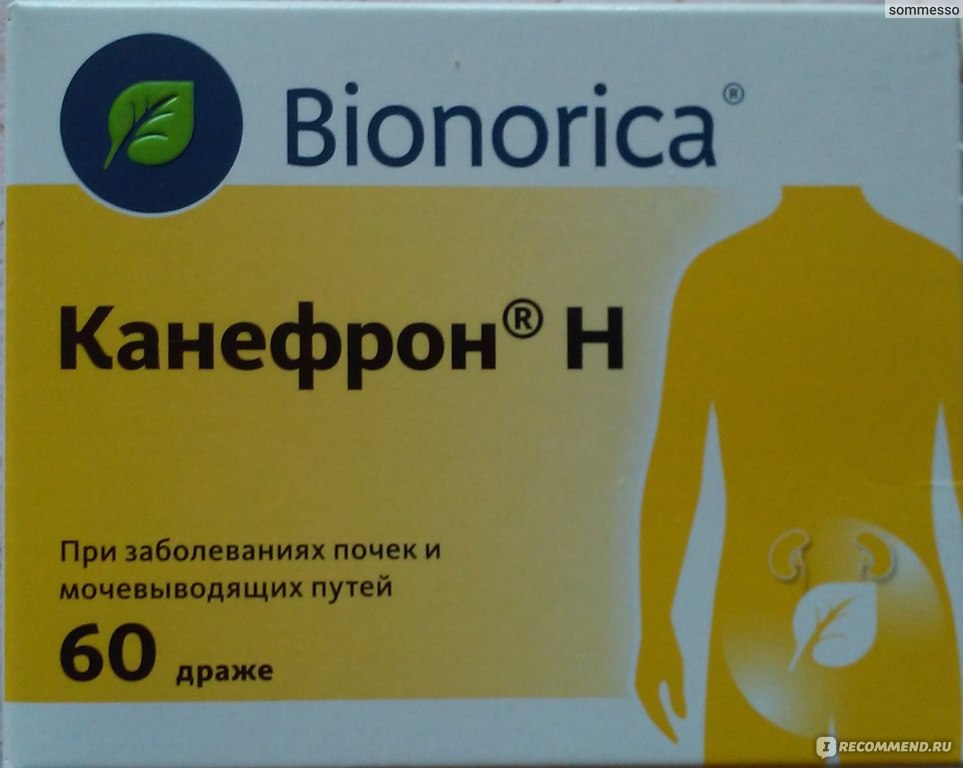 Растительный лекарственный препарат Bionorica КАНЕФРОН Н в таблетках -  «Спасительные таблеточки! У Канефрона есть аналог в 2,5 раза дешевле, но я  никогда его не куплю и вам не советую (+фото)» | отзывы