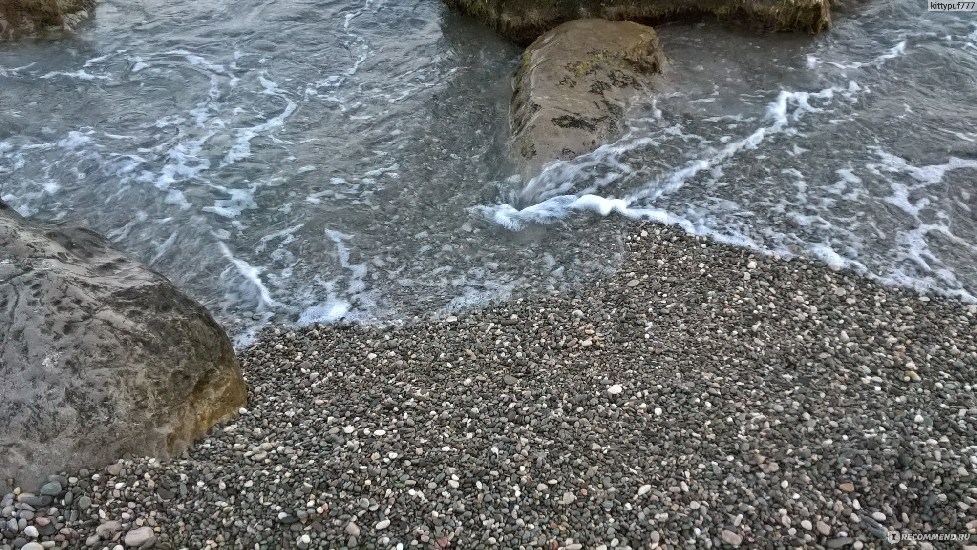 пляж в алупке лягушка