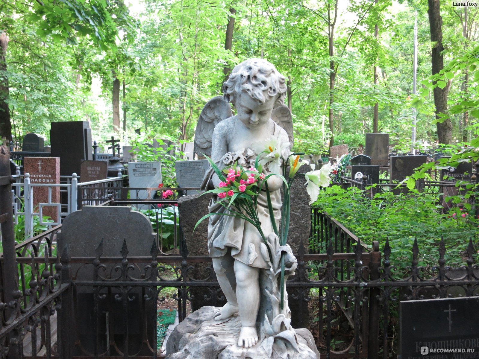 Введенское кладбище памятники