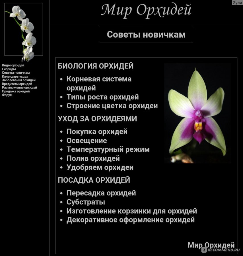 Мир Орхидей Фото