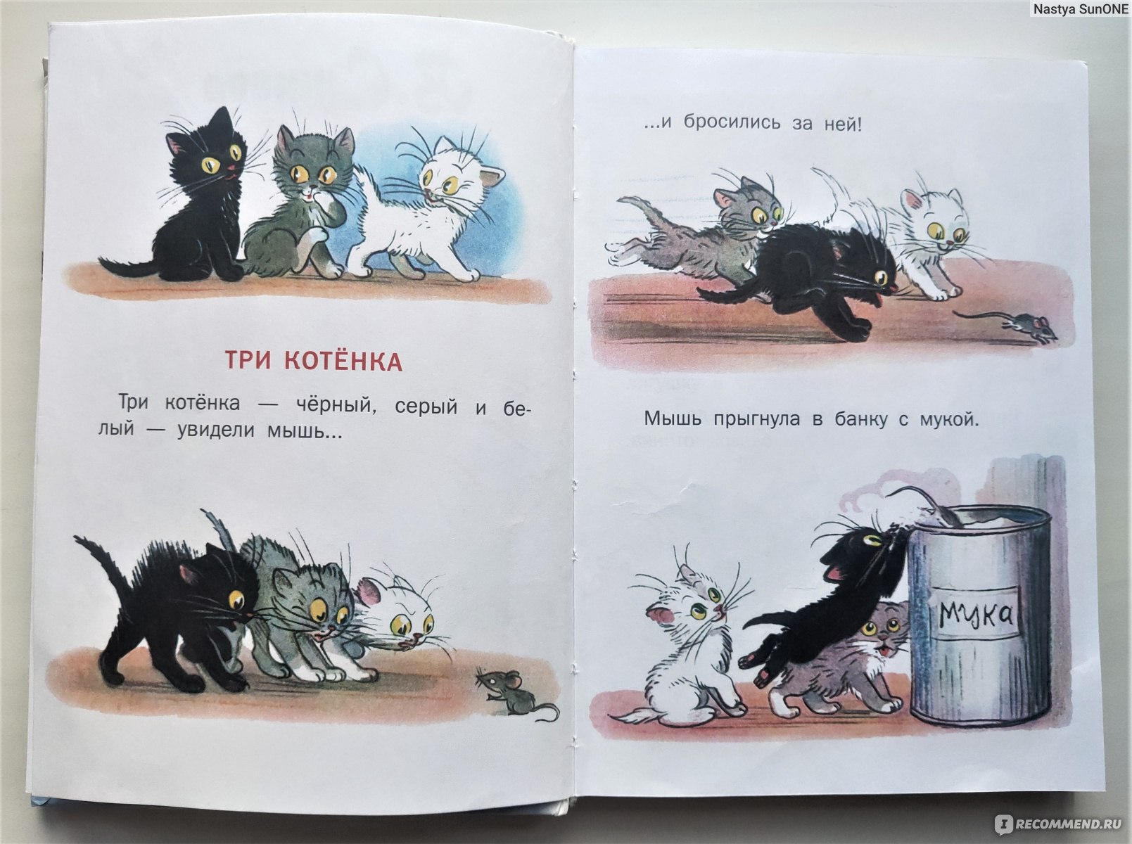 Читать рассказ котенок. Сутеев в. "три котенка". Три котенка читать. Три котёнка книга. Три кота Сутеев.