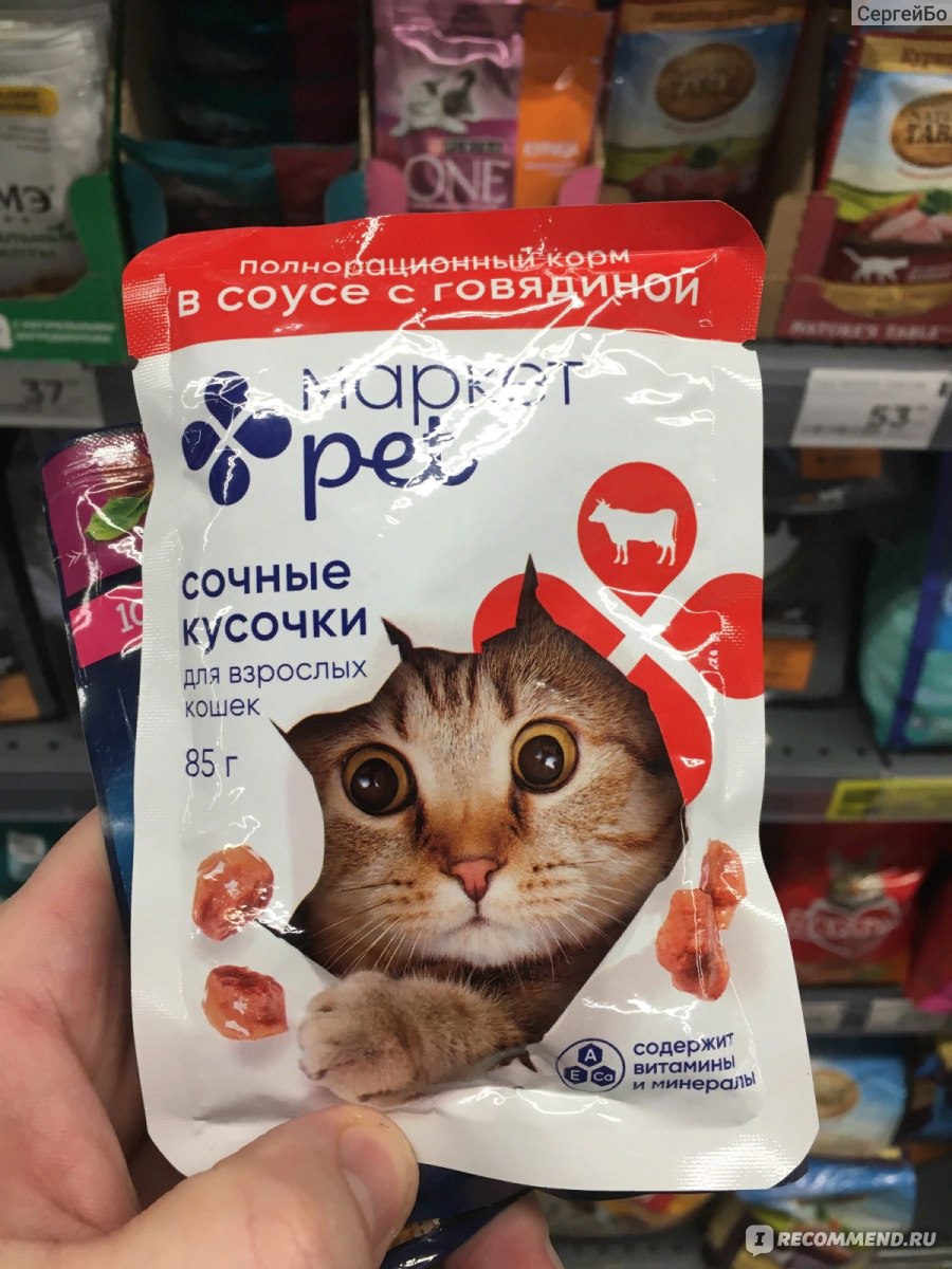 Корм для кошек Маркет Pet Корм Сочные кусочки в соусе с говядиной для  взрослых кошек - «Домашние коты от него не в восторге, а вот бродячим  сойдет!😼» | отзывы