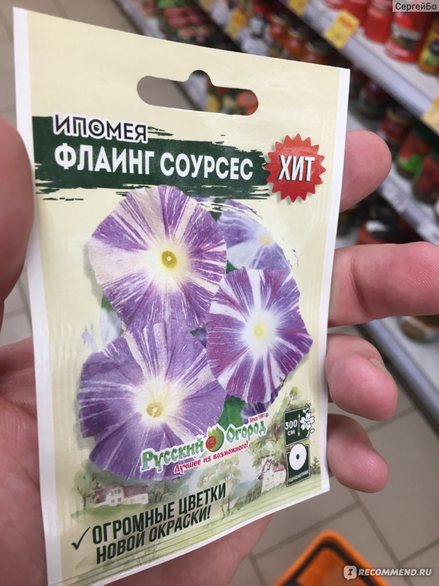 Ипомея Флаинг Соурсес 