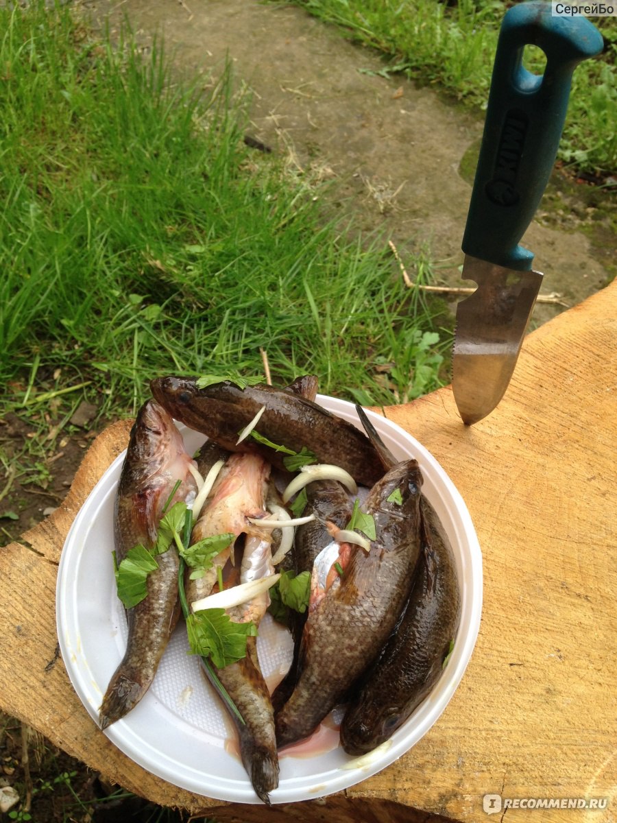Котлеты рыбные с салом