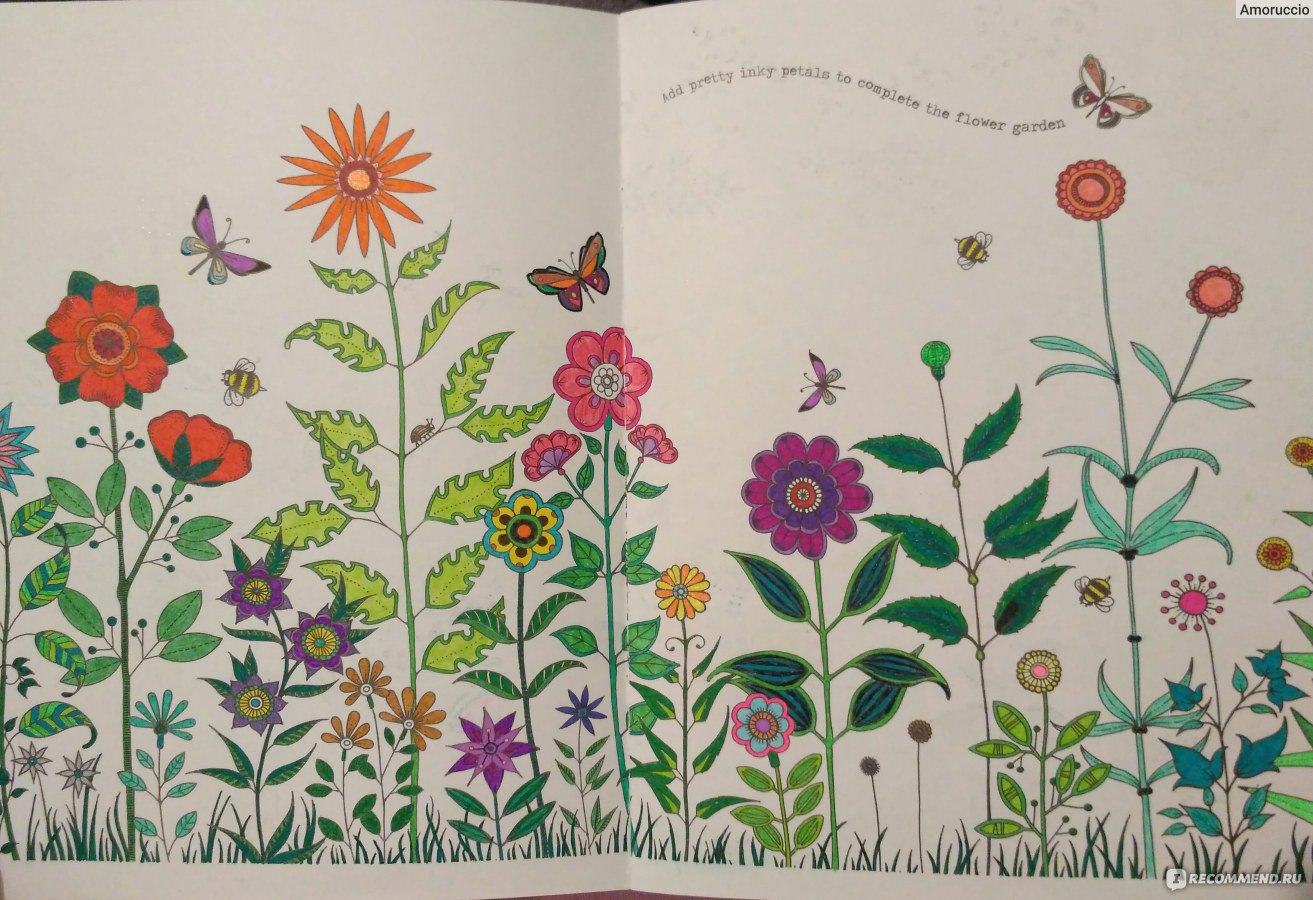 Птичья страна чудес: секретный сад живопись Академия серия раскраска книга 2bk236