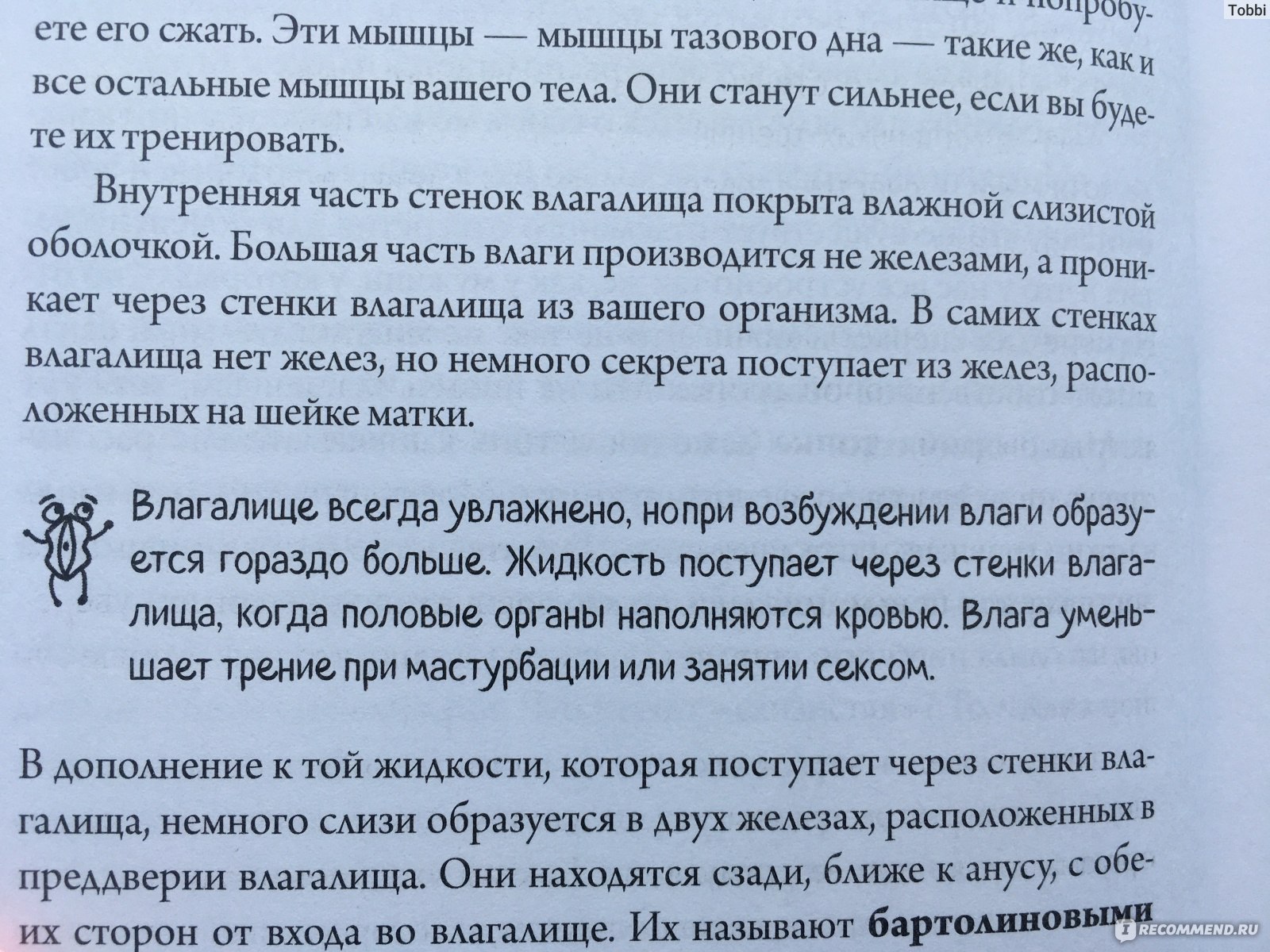 Viva la vagina. Хватит замалчивать скрытые возможности органа, который не  принято называть. Нина Брокманн, Эллен Стёкен Даль - «Вход от 18+. Книга о  девочках или о их органе. ПМС, секс, предохранение и