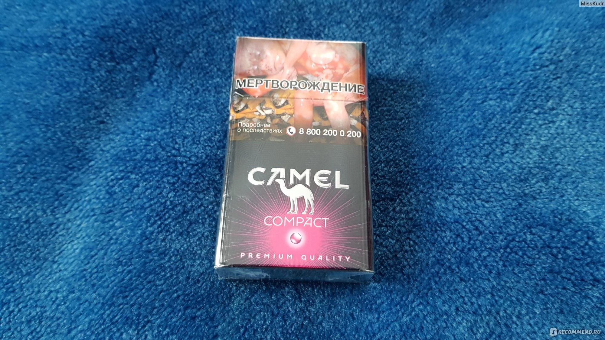 Вкус кэмел компакт. Camel Compact 100 Ruby. Cигареты с фильтром "Camel Compact Ruby". Camel Compact с розовой кнопкой. Сигареты Compact Compact Ruby.