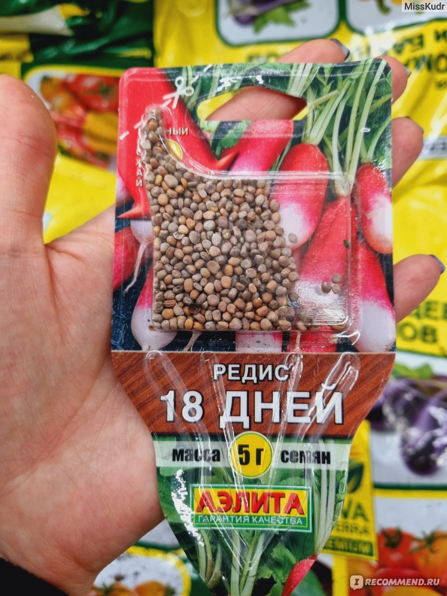 Семена редиса 