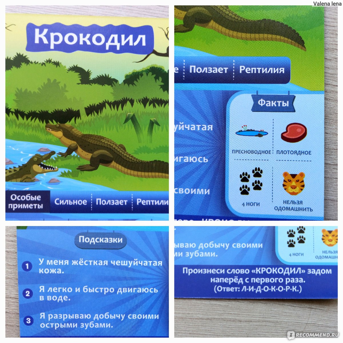 Настольная игра Gaga Games 