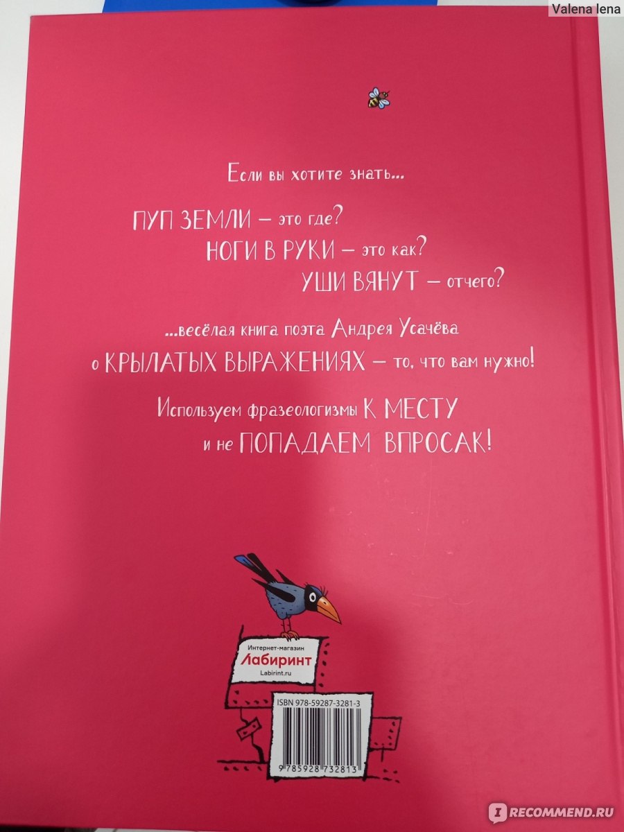 Великий и Могучий Русский Язык, Андрей Усачев - «Попадаем впросак - это  как? Жечь корабли- для чего? Свинья в апельсинах - это кто? Крылатые фразы  в картинках и стихах. Много фото для