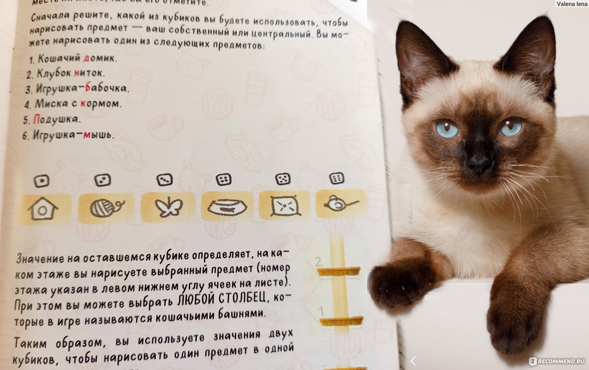 Настольная игра КотоКафе Арт.GG223 Gaga games - «Кто тут знатный котовед?  ♥️ 🐈 Котокафе / Cat Café - игра для любителей кошек и стратегов. » | отзывы