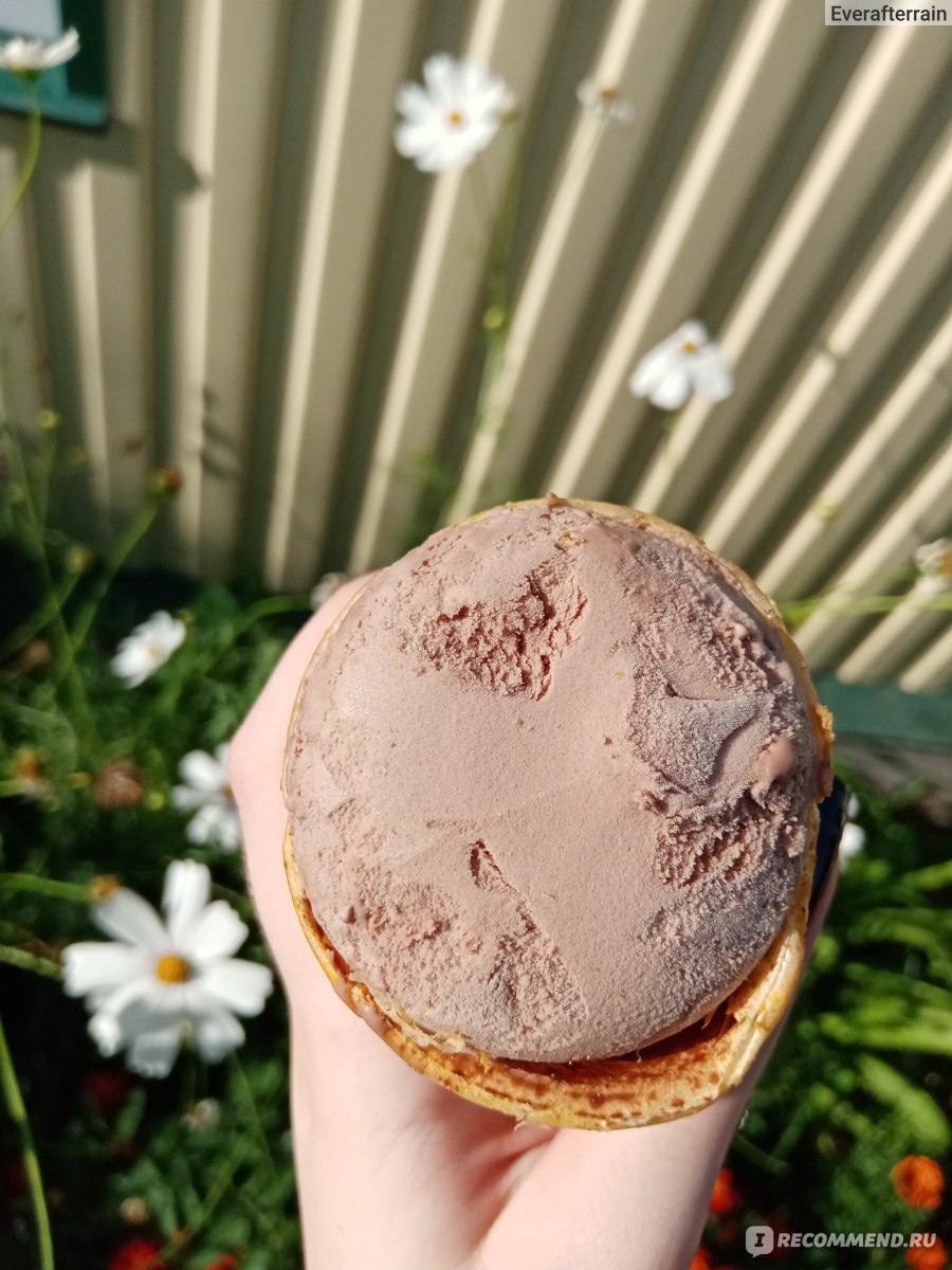 Мороженое Инмарко Золотой Стандарт Настоящий пломбир Шоколадный отзывы