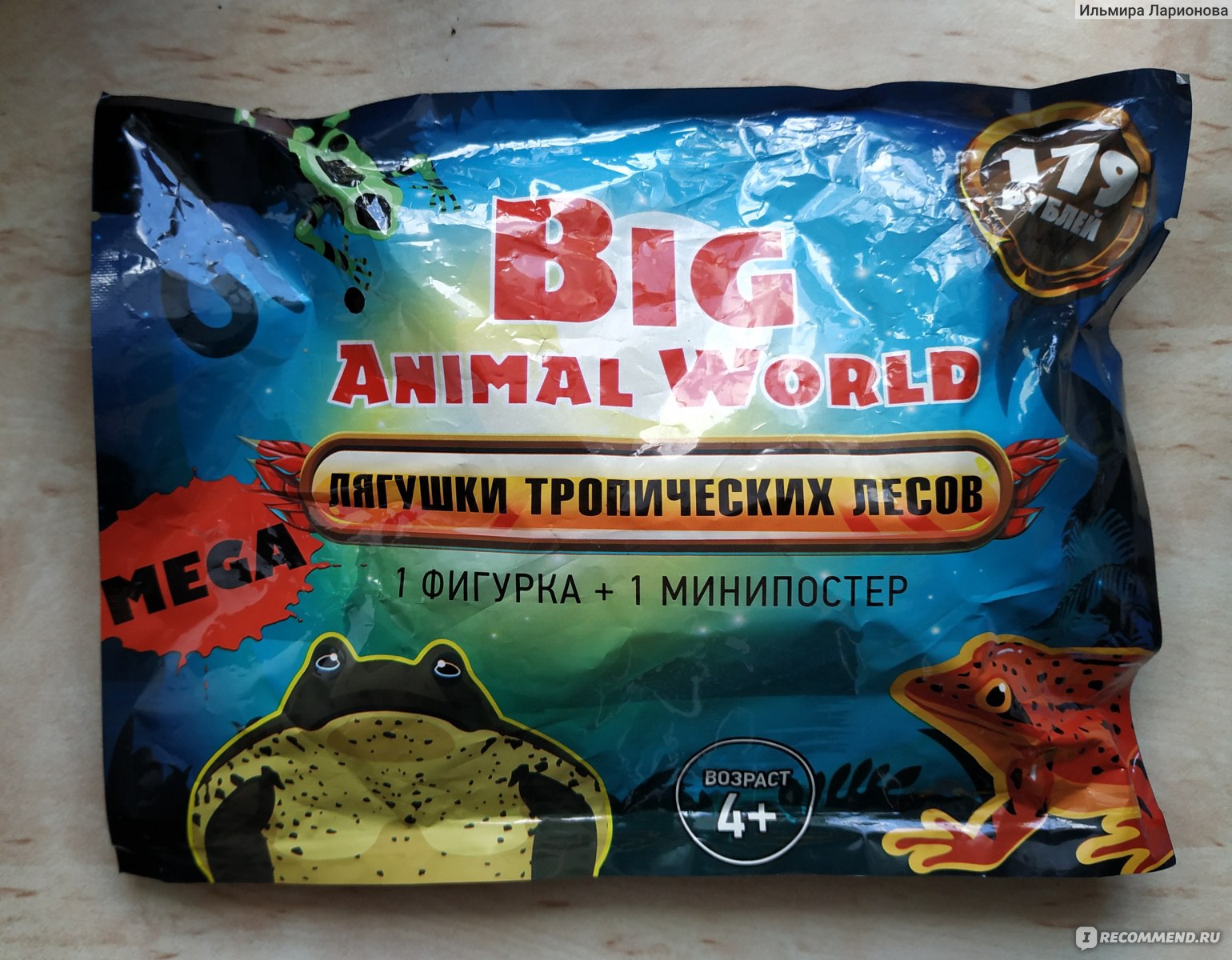 Big Animal World Лягушки тропических лесов. Красноглазая квакша - «Лягушка  из набора-сюрприза! Меняет цвет на солнце! Мягкая, с шариками внутри,  противная на вид.» | отзывы