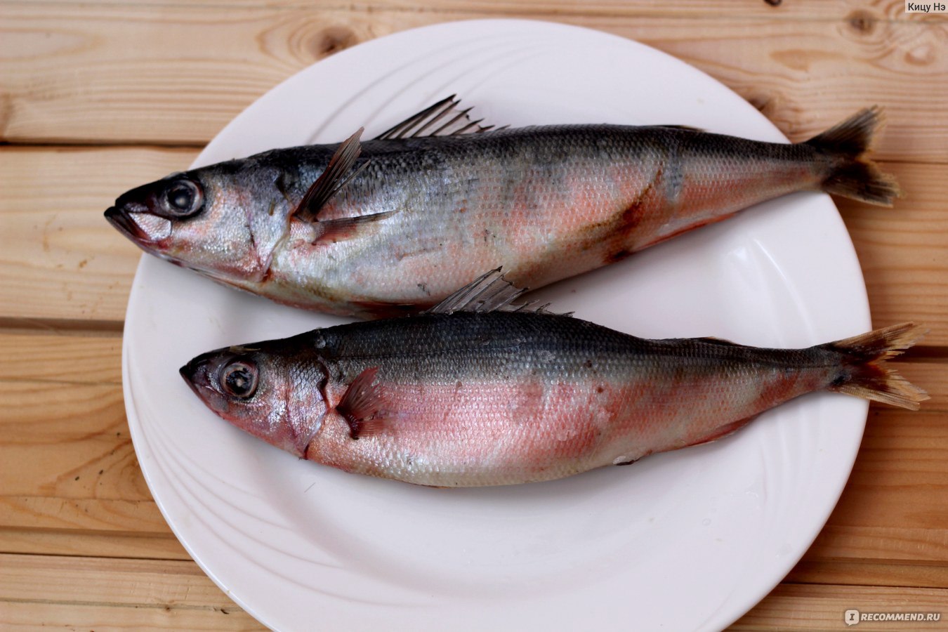 Рецепт: Рыбка красноглазка - жаренная рыба с луком