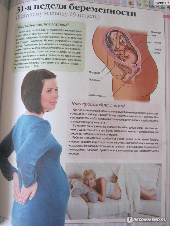 На какой неделе встают на учет. Учет по беременности. Встать на учет по беременности. Учёт по беременности в женской консультации. Книга для ведения беременности.