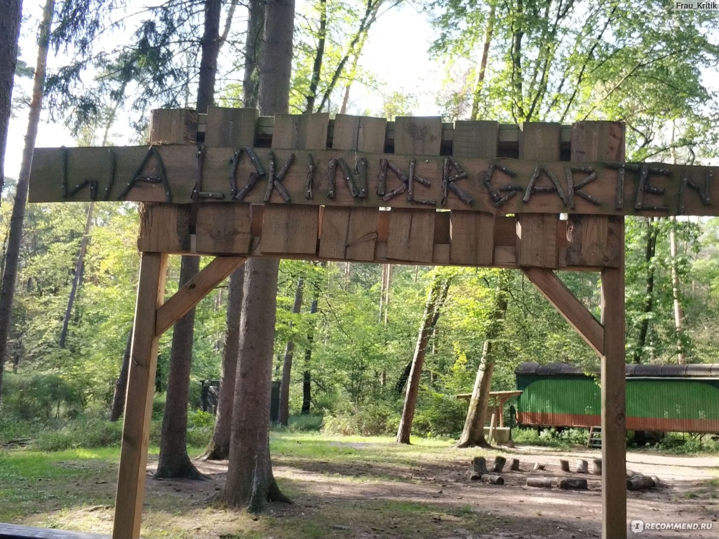 Лесной детский сад. Waldkindergarten в Германии. Waldkindergarten в городе Sandhausen.