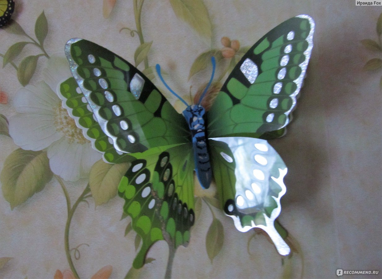 Декор: бабочки на стену 3D
