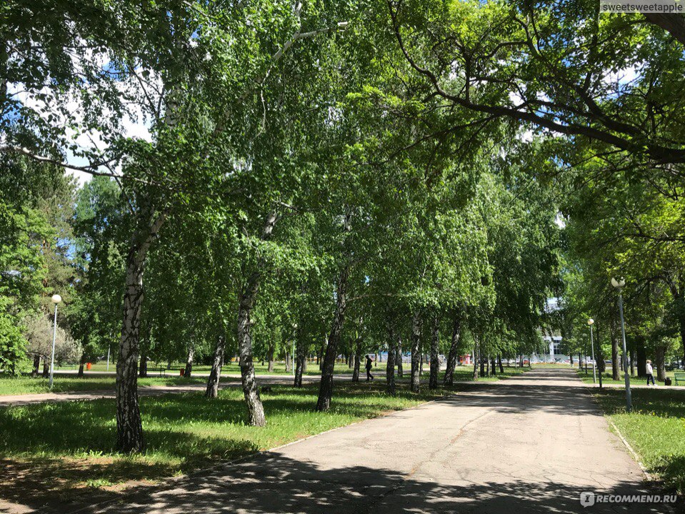 Парк победы тольятти фото после ремонта
