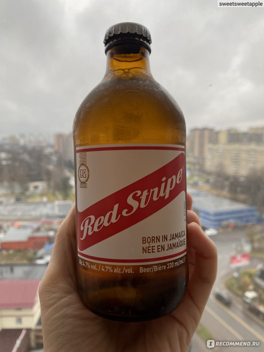 Пиво Red Stripe - «Вода больного ослика» | отзывы
